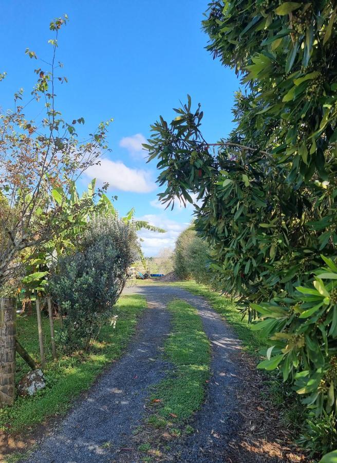 Villa Bookabarn Kerikeri Esterno foto